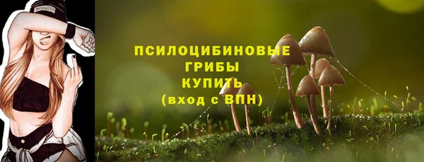 мескалин Бородино