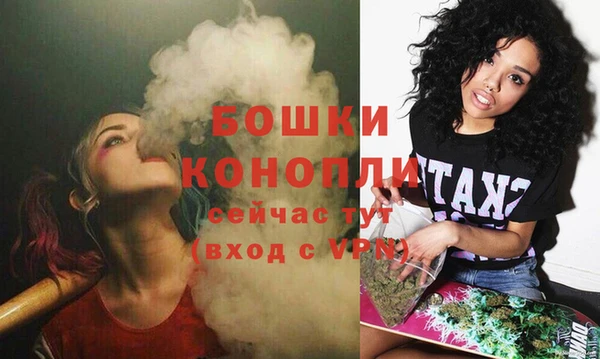 молекула духа Бугульма
