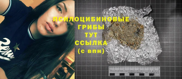 молекула духа Бугульма