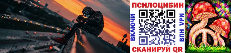 Псилоцибиновые грибы Psilocybe  мега как зайти  Лысково 